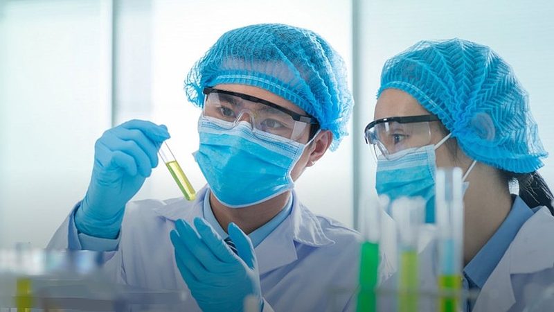 药用空心胶囊：标准规范的守护者**