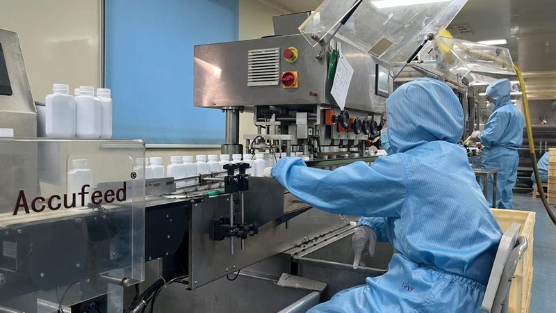 中药材标准化种植基地：守护中医药品质的绿色堡垒