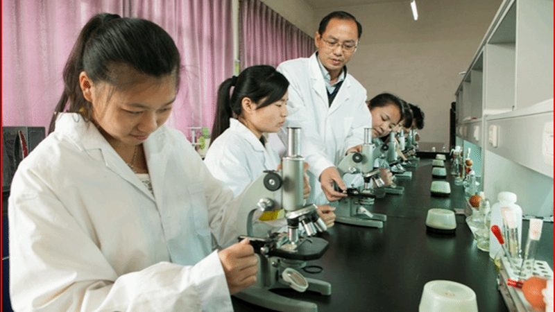 医药批发平台哪个靠谱