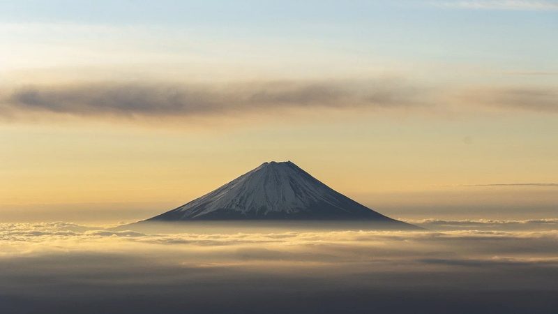 药品代理招商平台：模式差异解析