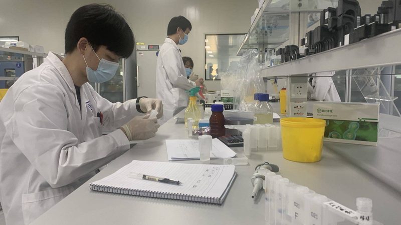 原料药GMP认证：守护药品安全的坚实屏障