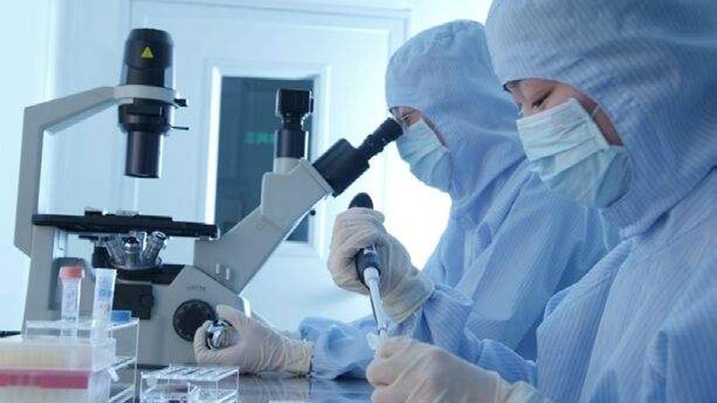 医药招商区域代理政策解读：合规之路，共赢之道**